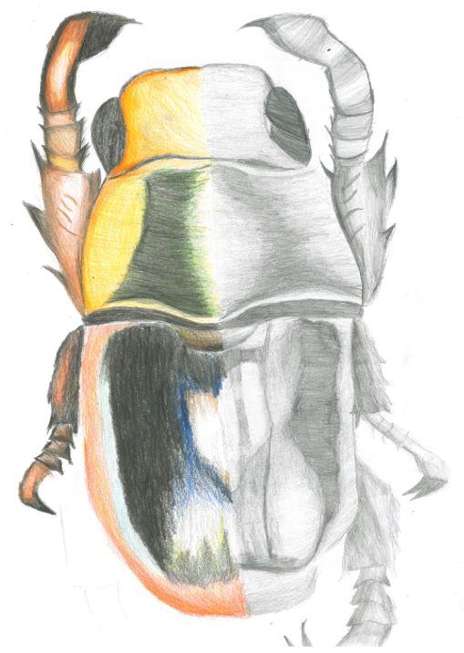 art26